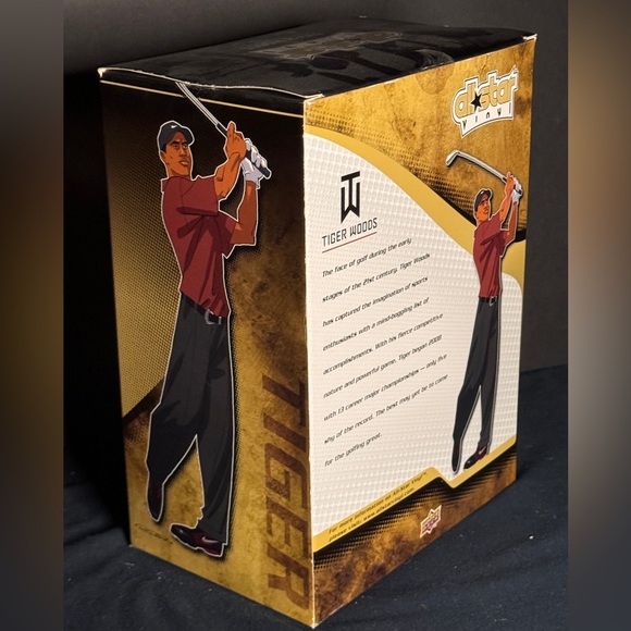 All Star Vinyl - Tiger Woods 9” - Picture 3 of 4